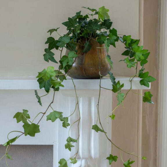 Copper Pot Planter, Large
