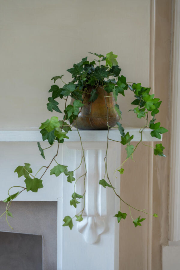 Copper Pot Planter, Large
